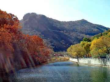 四川內(nèi)江自學(xué)考試網(wǎng)，助力個(gè)人成長(zhǎng)的在線(xiàn)教育平臺(tái)